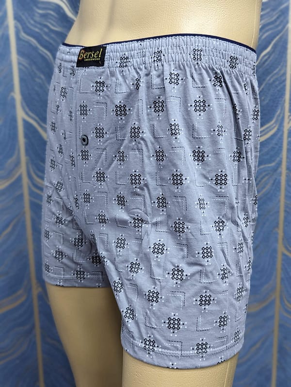 Bersel Cadet Grey Short - Image 2