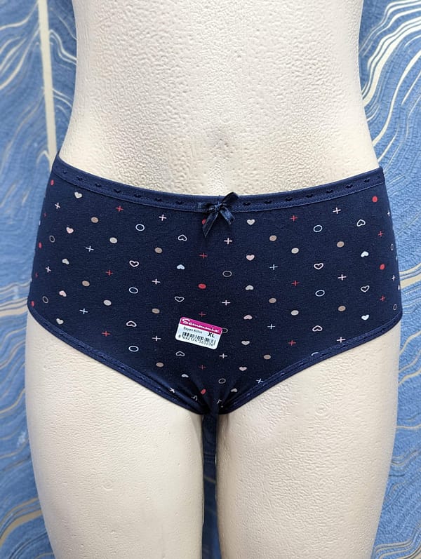 Haiti Brief