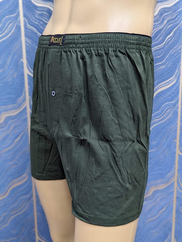 Bersel Green Short - Image 2