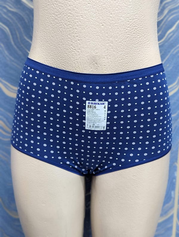 Nile Blue Brief