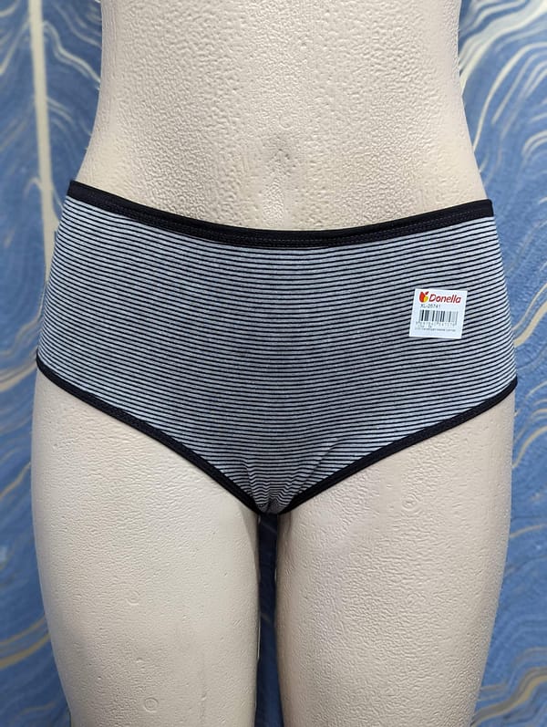 Star Dust Brief