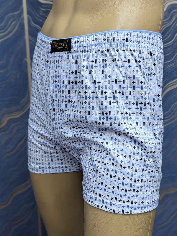 Bersel Cloudy Blue Short - Image 2