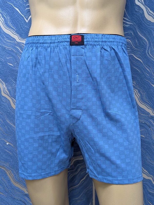 CNT Bluish Short (+size)
